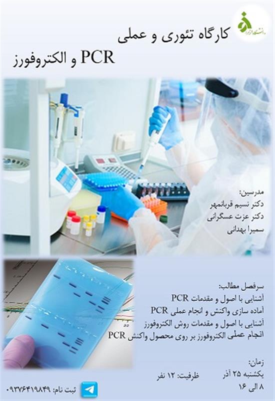 اطلاع رسانی کارگاه تئوری و عملی   PCR و الکتروفورز